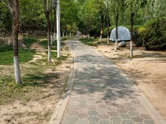 -前关湿地公园