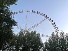 -哈尔滨文化公园