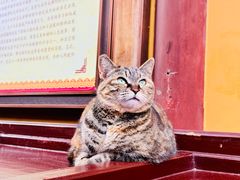 -龙华寺