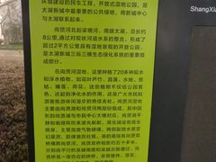 -尚贤河湿地