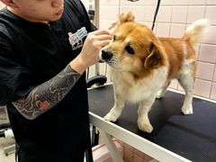 -FAELING PETS美天灵宠物(富力广场店)