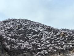 -妙峰山风景名胜区