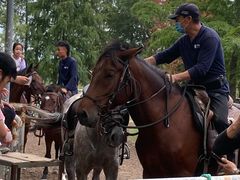 -上海海湾国家森林公园