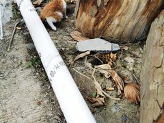 -杭州六谷生态休闲农庄有限公司