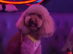 -星聚会KTV X PARTY K(上海东方渔人码头店)