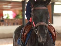 -月河湾马术俱乐部(朝阳店)