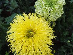 -上海市龙华烈士陵园