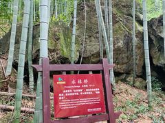 -山沟沟景区