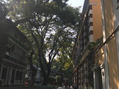 -白天鹅宾馆·流浮阁咖啡厅
