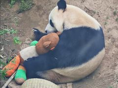 -大连森林动物园