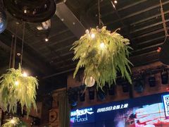 -胡桃里音乐酒馆(白云五号T5 MALL店)