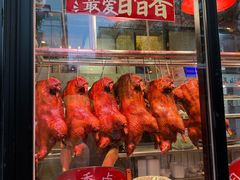 -日日香卤鹅饭店·澄海狮头鹅(澄海店)