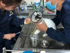 -A猫a狗全科·犬猫异宠·芥西宠物医院(南开总院)