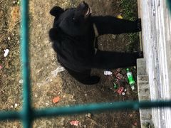 -洛阳马蹄泉旅游度假村