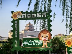 -莲花池公园