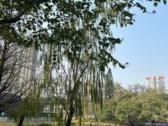-东山湖公园