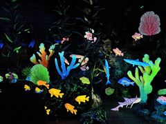 -珠海长隆海洋王国