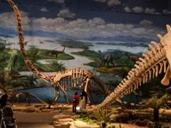 -自贡恐龙博物馆