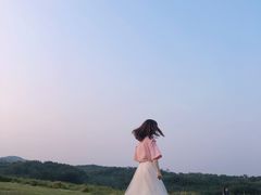 -大柳草原