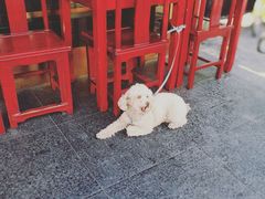 -老回回饺子馆(海洋馆店)