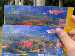 -深圳仙湖植物园