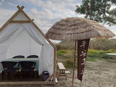 -莲花岛景区
