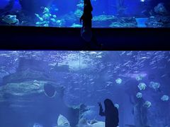 -多彩贵州城极地海洋世界