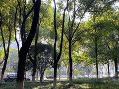 -后襄河公园