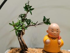 -隆德堂青瓷艺术·茶馆(故宫店)