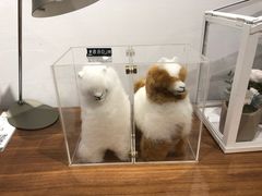 -DK45丹麦家居生活馆·依诺维绅(798店)