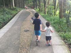 -福神岗公园
