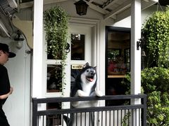 -TrueLove @ Neverland (Husky Cafe)