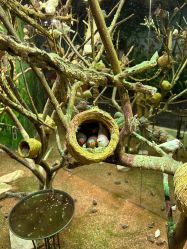 -Zoolung Zoolung动物主题公园(海信广场店)