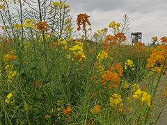 -中国天府农业博览园