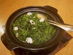 -广州富力君悦大酒店空中花园