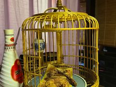 -锦上中式酒馆(南内环店)