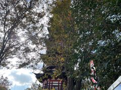 -上海佘山国家森林公园西佘山园