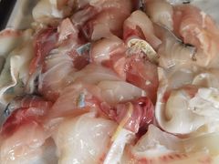 -鱼粤鲜淘米捞·中山脆肉鲩火锅(悦湖会店)