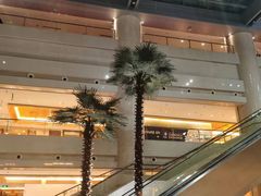 -广州白云机场雅高铂尔曼大酒店