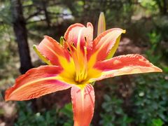 -周口店北京人遗址公园