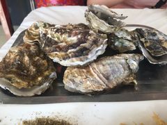 -渔民船说·北塘海鲜·天津菜·海肠捞饭(北塘古镇店)