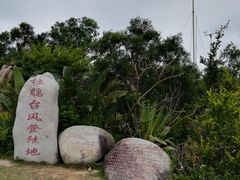 -广东惠东海龟国家级自然保护区