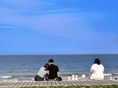 -巧克力渔家.小船海鲜胶东菜(万平口店)