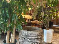 -慢丽江·云南野生菌土鸡锅(付家庄店)