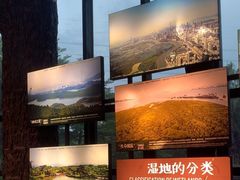 -福田红树林生态公园