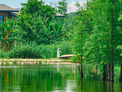 -白鹭湾湿地公园
