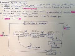 -JT PREP国际学科课程·IB·AP·Alevel(陆家嘴校区)