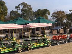 -春花秋色城市公园