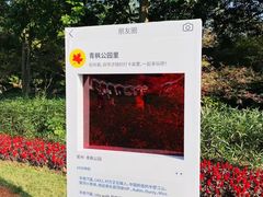 -青枫公园