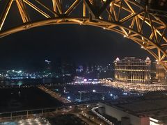 -影汇之星8字形摩天轮